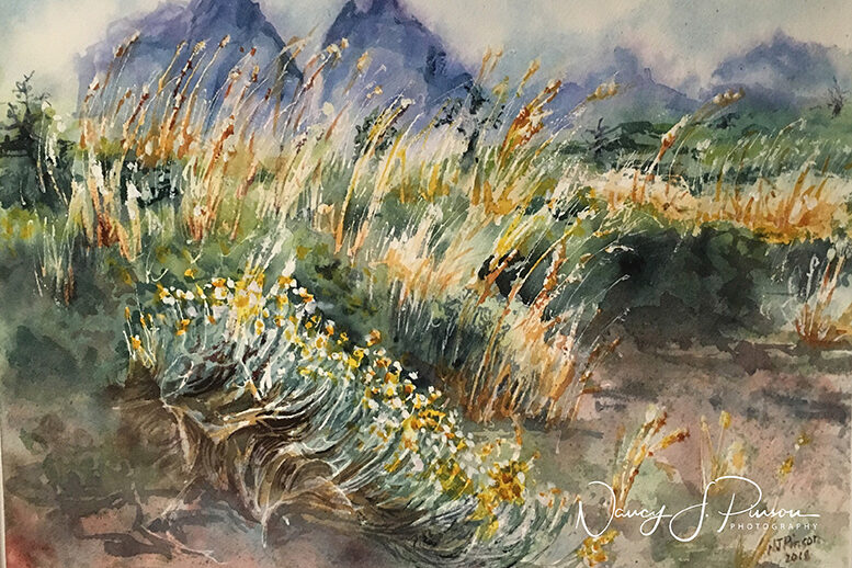 Chile Torresdel Paine - Nancy Pinson - First State Craft Guild